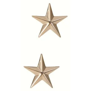 Rothco Brigadier General Insignia Stars